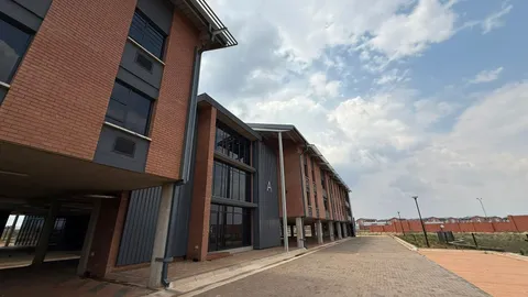 WhatsApp Image 2026-01-28 at 11.30.36.